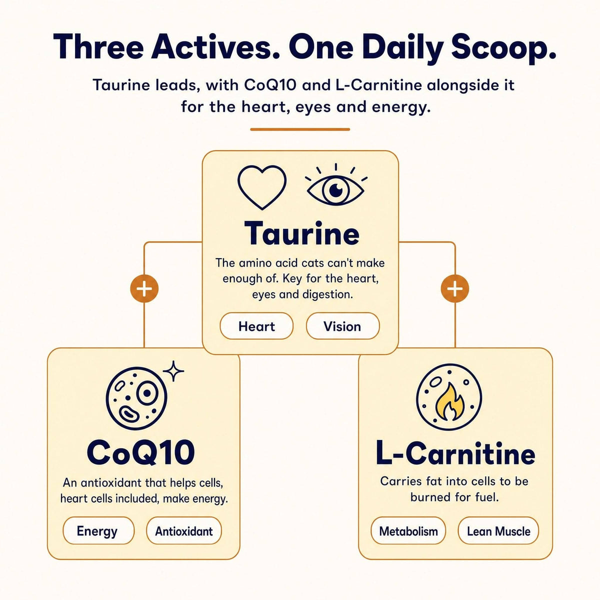 Leos paw Cat Taurine+