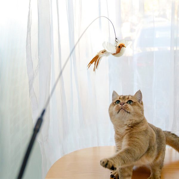 Are Cat Toys Safe? Unveiling the Secrets Behind Feline Fun