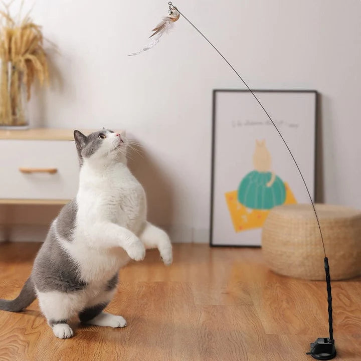 best cat toys for bored cats