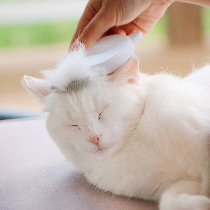 grooming tools for cats