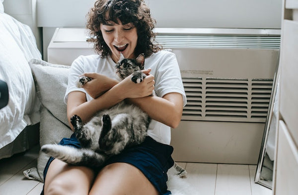 Mit Feline Enrichment für eine gesunde, glückliche Katze