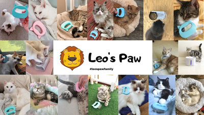 Automatic Treat Dispensing Cat Toy (New 2023) – Leos paw
