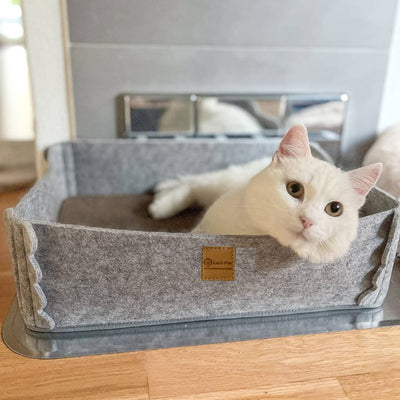 Leos paw 2-in-1 Scratching Cat Bed