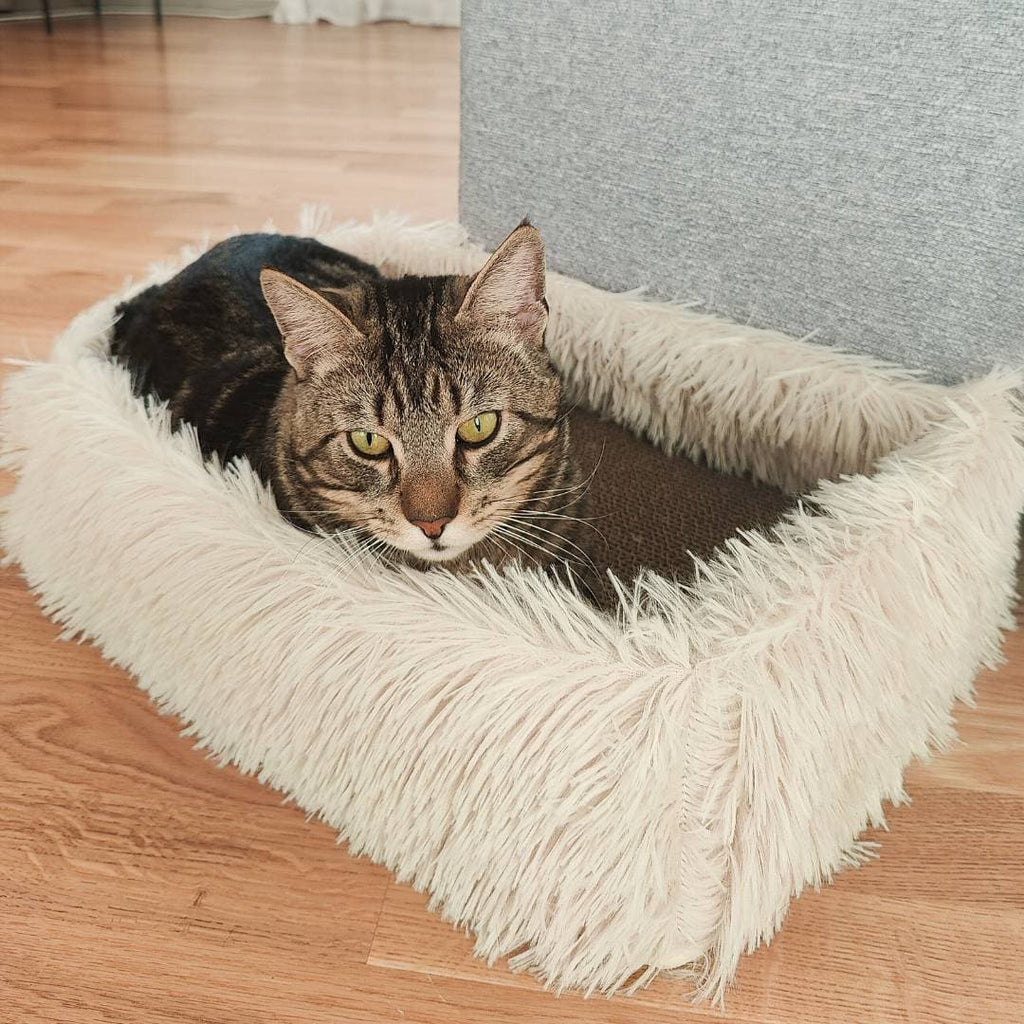 Leos paw 2-in-1 Scratching Cat Bed