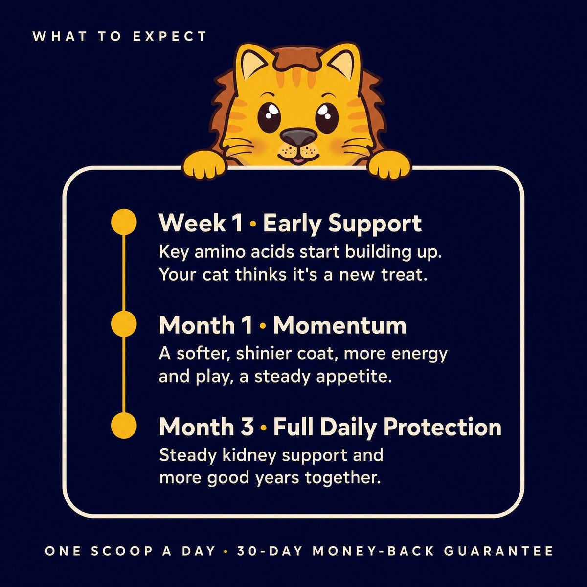 Leos paw AIM Kidney & Immune Support