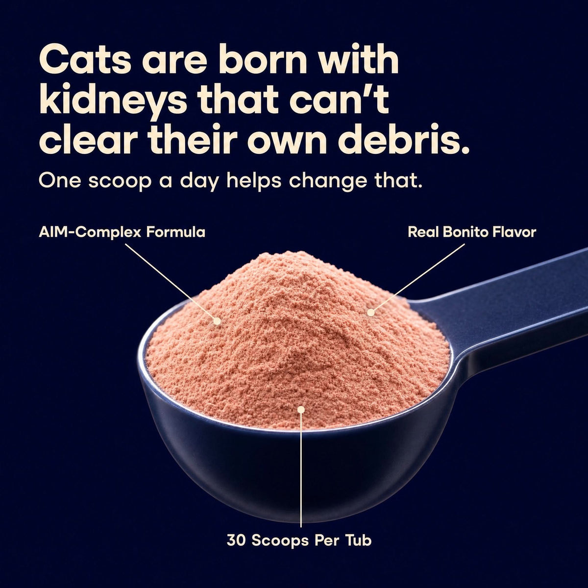 Leos paw AIM Kidney & Immune Support