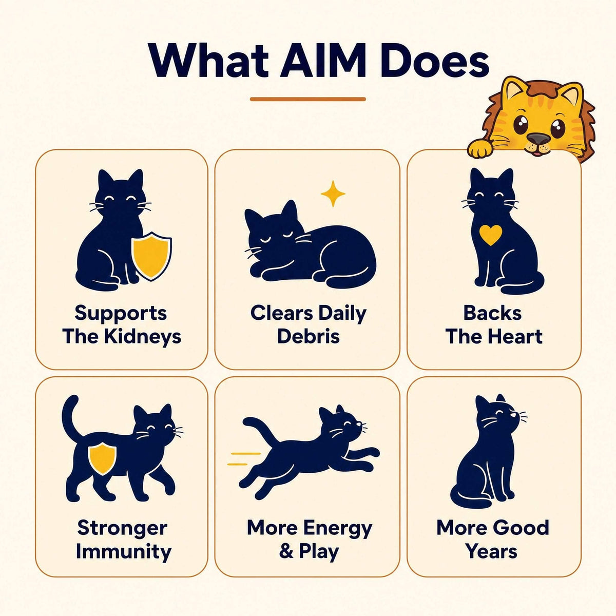 Leos paw AIM Kidney & Immune Support