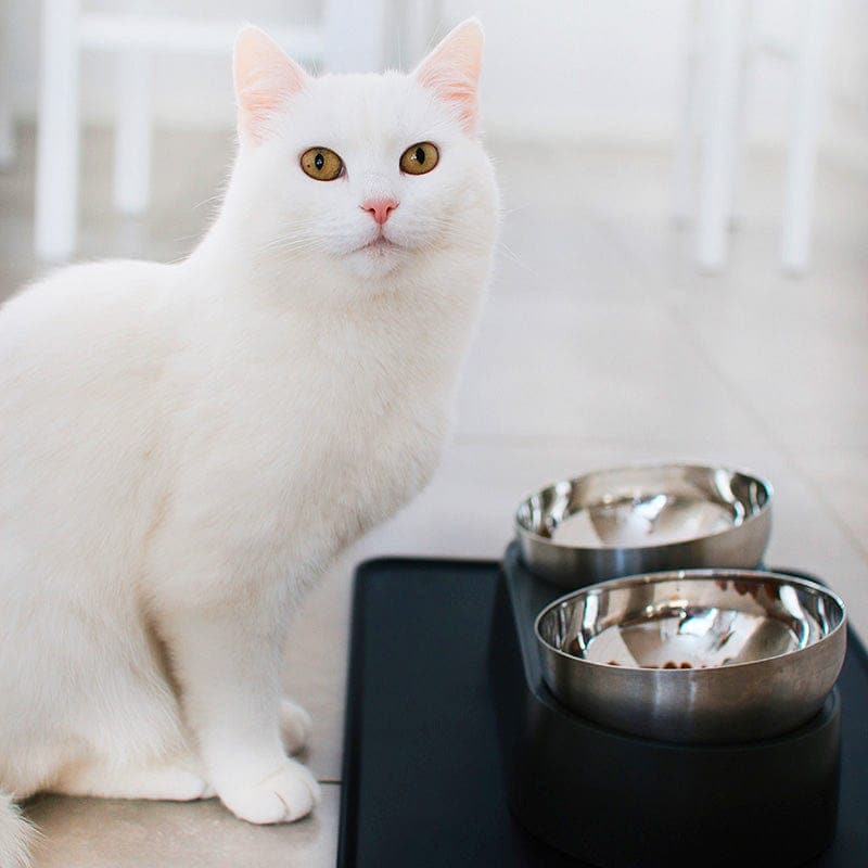 Leos paw Anti-Vomiting Stainless Steel Cat Bowl