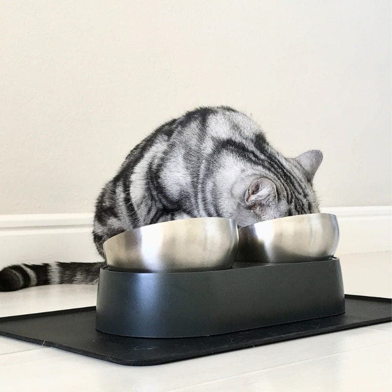 Leos paw Anti-Vomiting Stainless Steel Cat Bowl