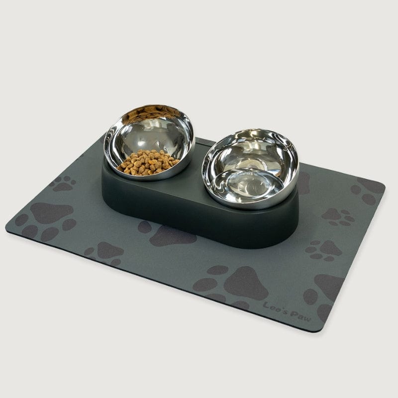 Leos paw Anti-Vomiting Stainless Steel Cat Bowl