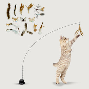 Leos paw Cat Feather Toy Attachments (15 Pcs)