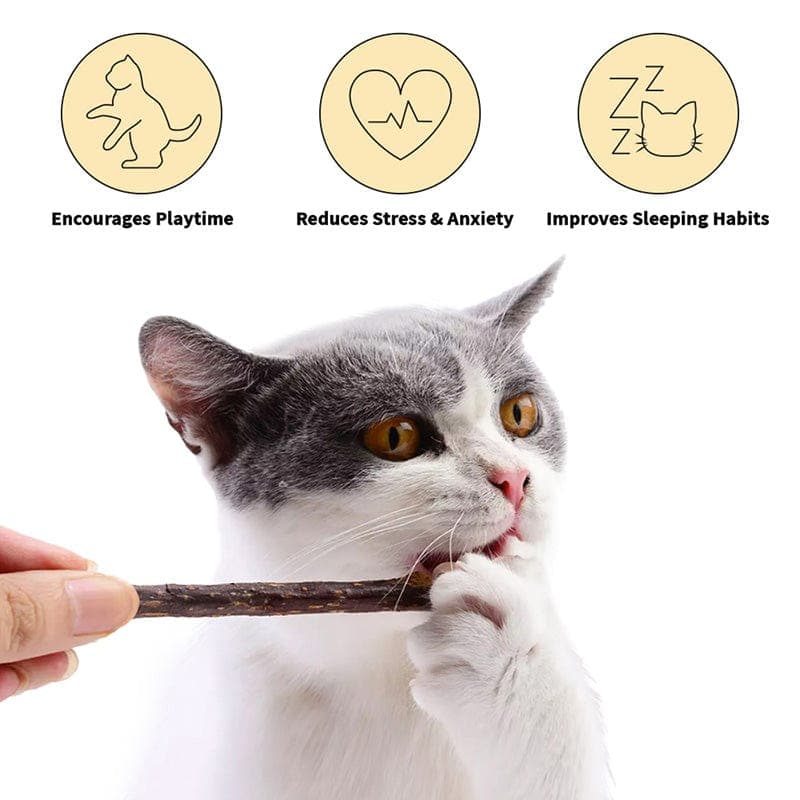 Leos paw Cat Supplies Catnip Chew Toy Sticks