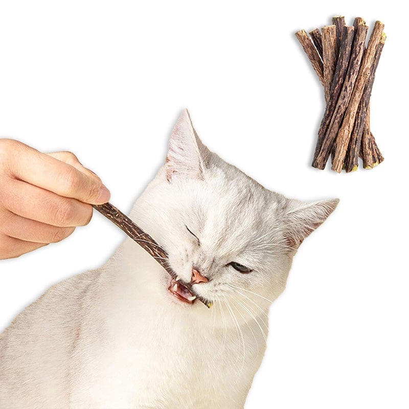 Leos paw Cat Supplies Catnip Chew Toy Sticks