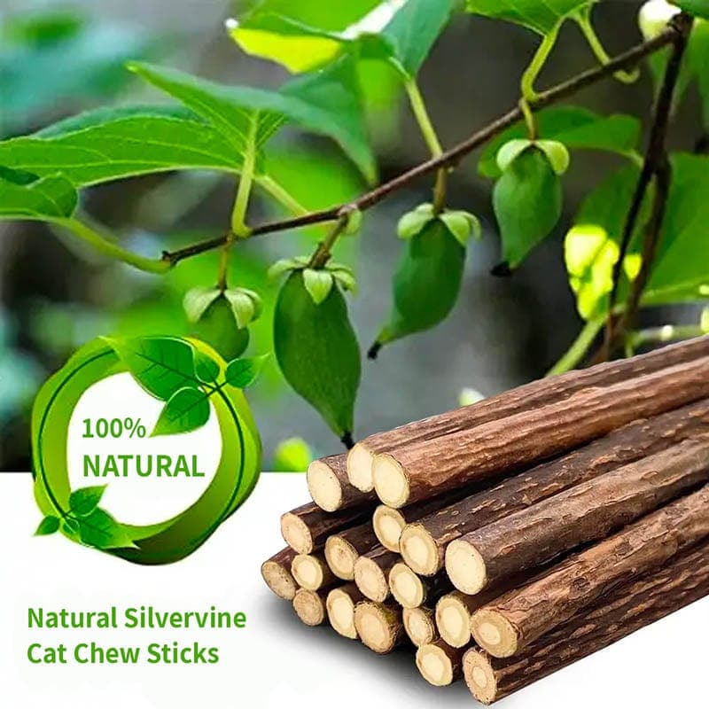 Leos paw Cat Supplies Catnip Chew Toy Sticks