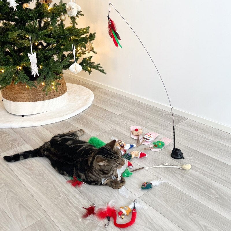 Leos paw Christmas Toy Bundle