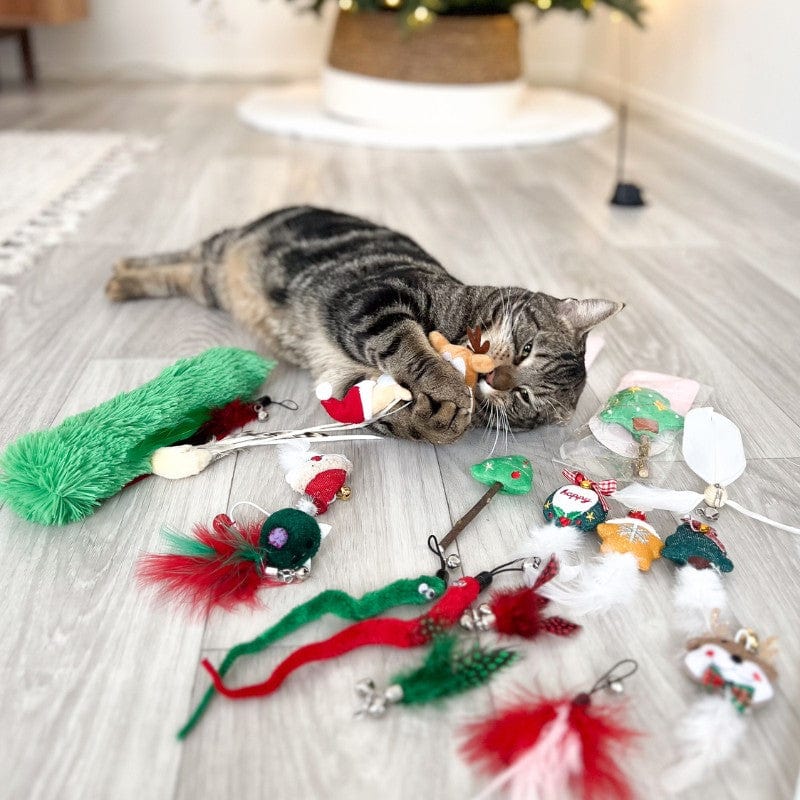 Leos paw Christmas Toy Bundle