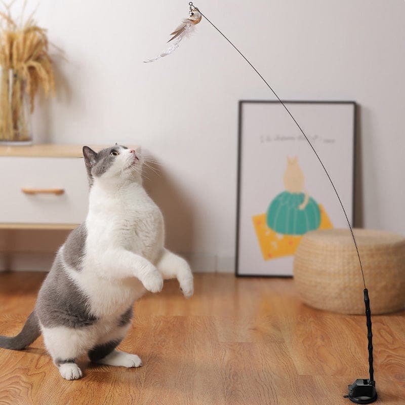 Leos paw Copy WideBundle of Interactive Bird Simulation Cat Toy Set