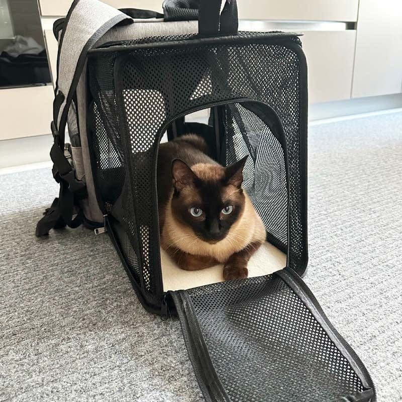 Leos paw Expandable Cat Carrier Backpack