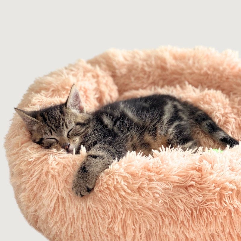 Leos paw Fluffy Cat Bed