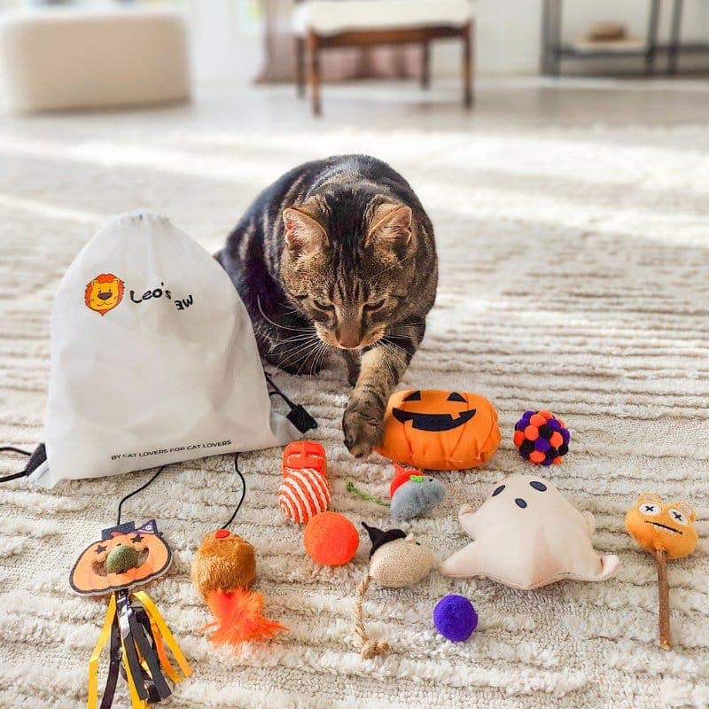 Leos paw Halloween Cat Toy Bundle