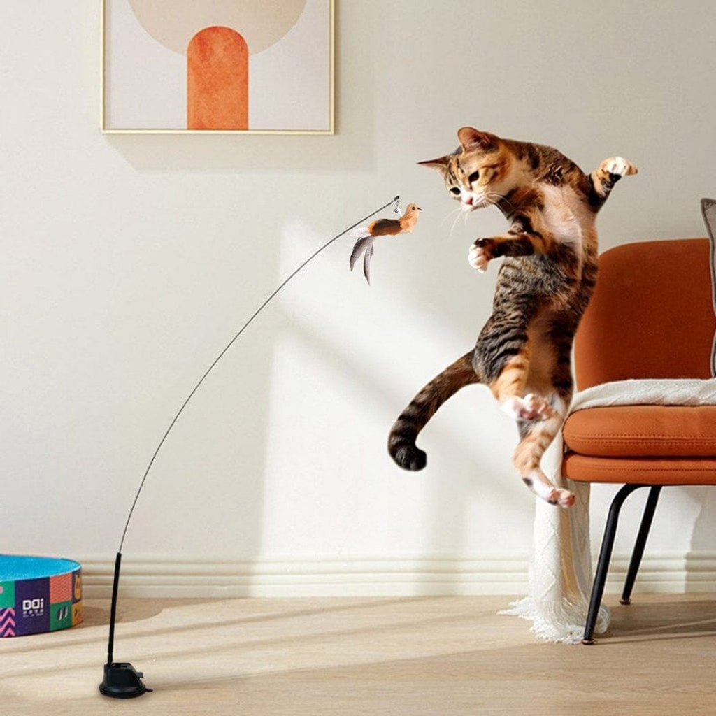 Leos paw Interactive Bird Simulation Cat Toy Set | Leo's Paw