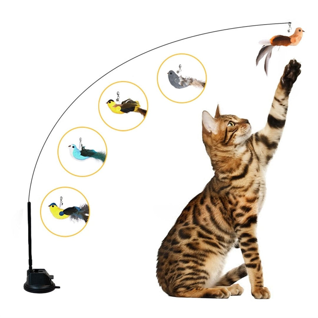 Leos paw Interactive Bird Simulation Cat Toy Set | Leo's Paw