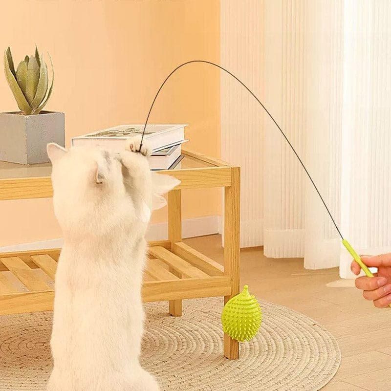 Leos paw Interactive Bird Simulation Cat Toy With Corner Groomer