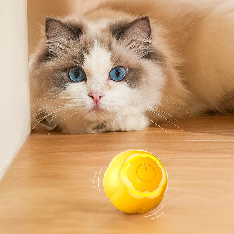 Leos paw Interactive Cat Toy Ball