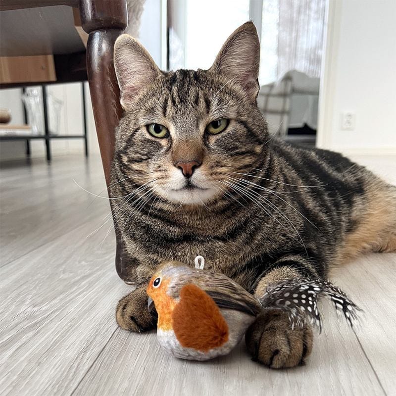 Leos paw Interactive Chirping Bird with Catnip