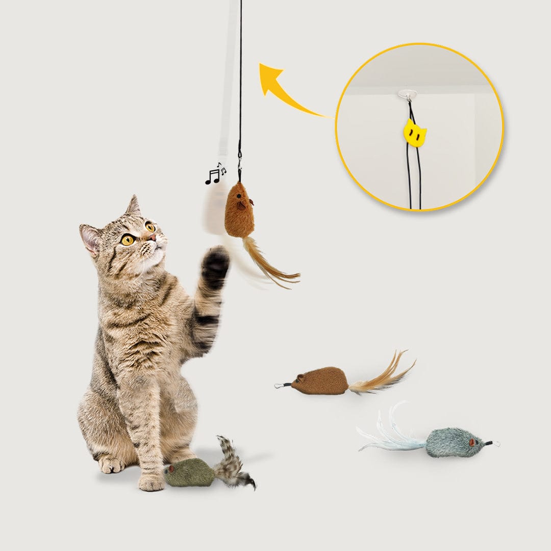 Cat toys online best sale