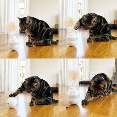 Leos paw Interactive Treat Dispensing Cat Toy