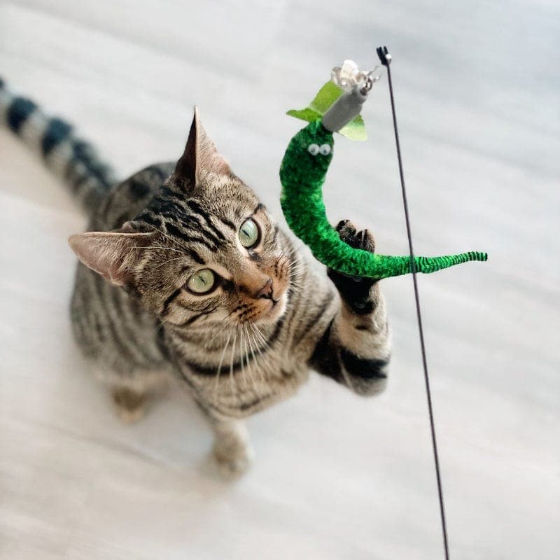 Leos paw Interactive Worm Cat Toy Set