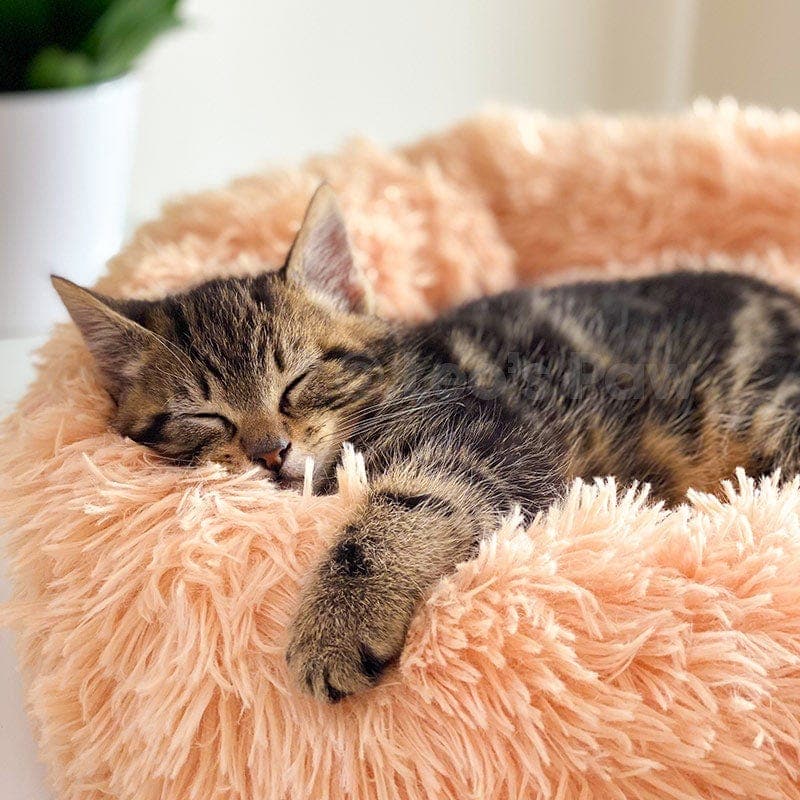 Leos paw L Fluffy Cat Bed (Light Beige)