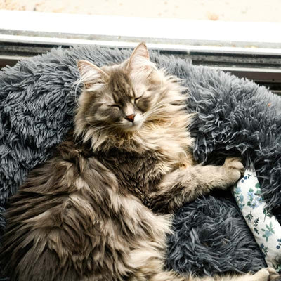 Leos paw L Fluffy Cat Bed (Light Pink)