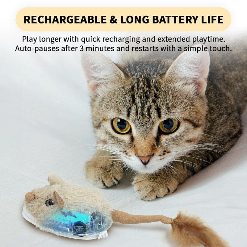 Battery mouse cat toy best sale