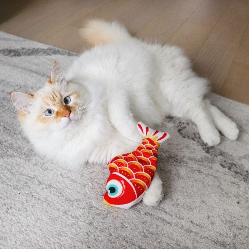 Mini Floppy Fish – Leos paw