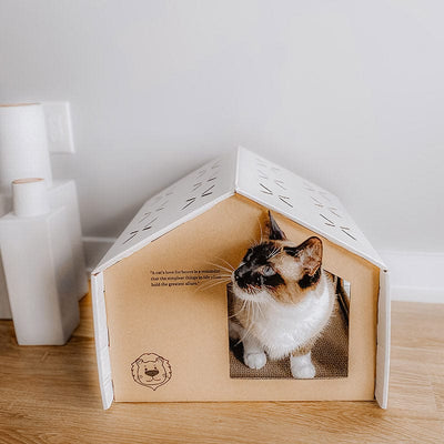 Leos paw Recycled Cat Scratching House (New 2023)