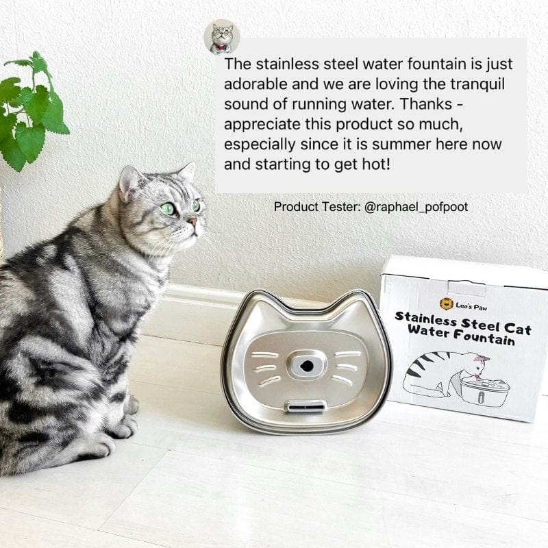 Leos paw Stainless Steel Cat Water Fountain