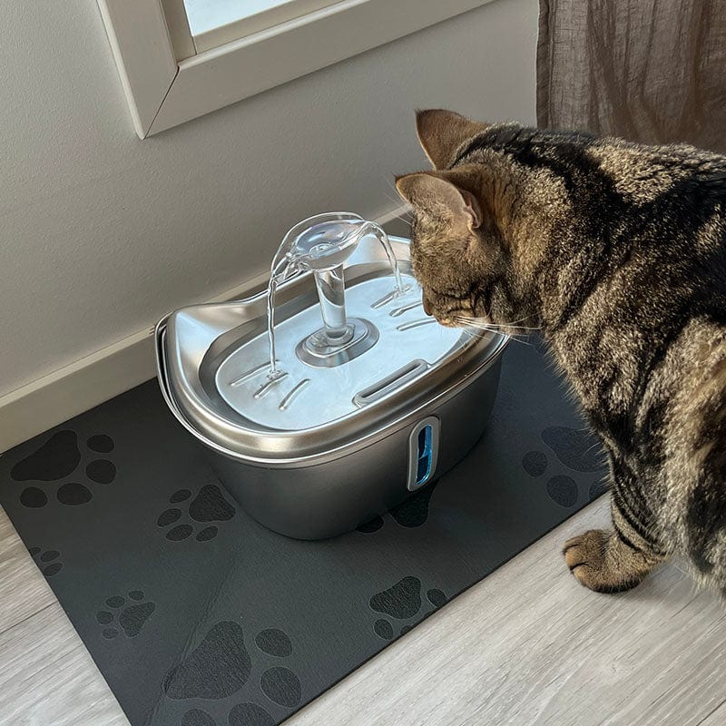 Cat Drinking Fountains Circulating Cat Water Dish Stainless Steel