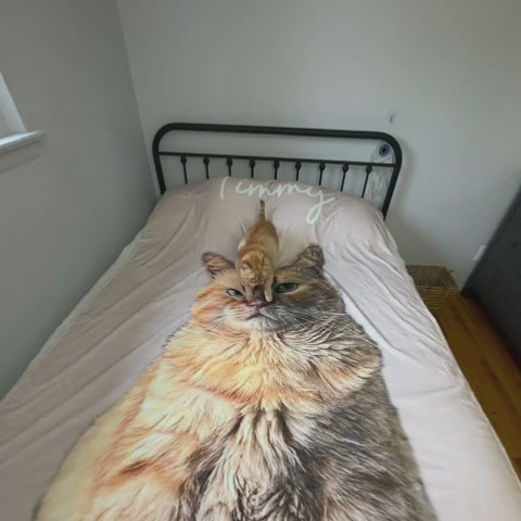 Timmy The Chonk Blanket