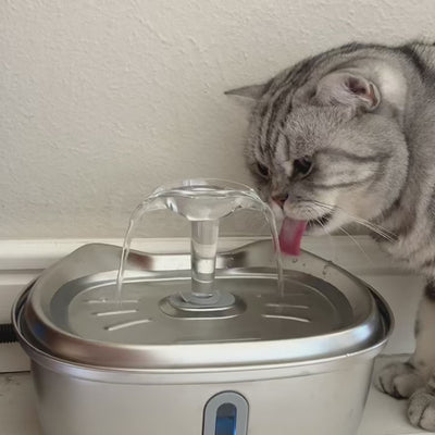 Fontaine à eau pour chat en acier inoxydable