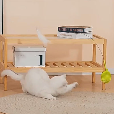 Interactive Bird Simulation Cat Toy With Corner Groomer