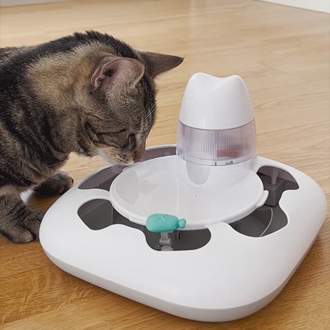 Treat dispensing outlet cat toy