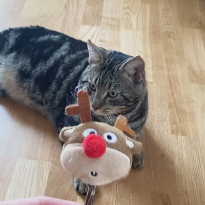 Jouets à l'herbe à chat avec bâton à mâcher