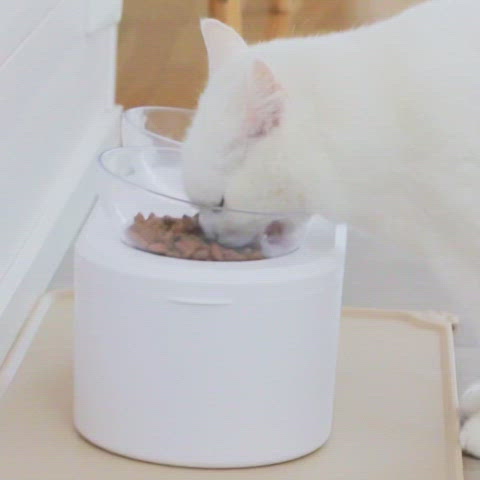 Anti-Vomiting Orthopedic Cat Bowl with Storage