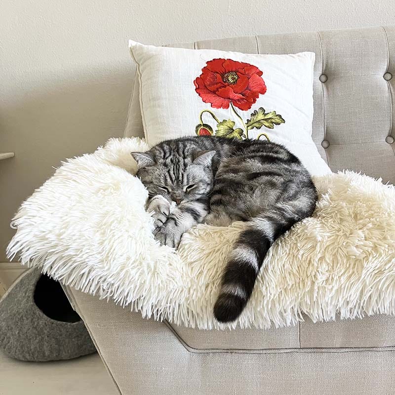 Leos paw 2-in-1 Soothing Cat Bed