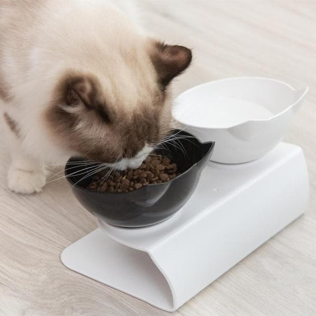Leos paw Anti-Vomiting Orthopedic Cat Bowl