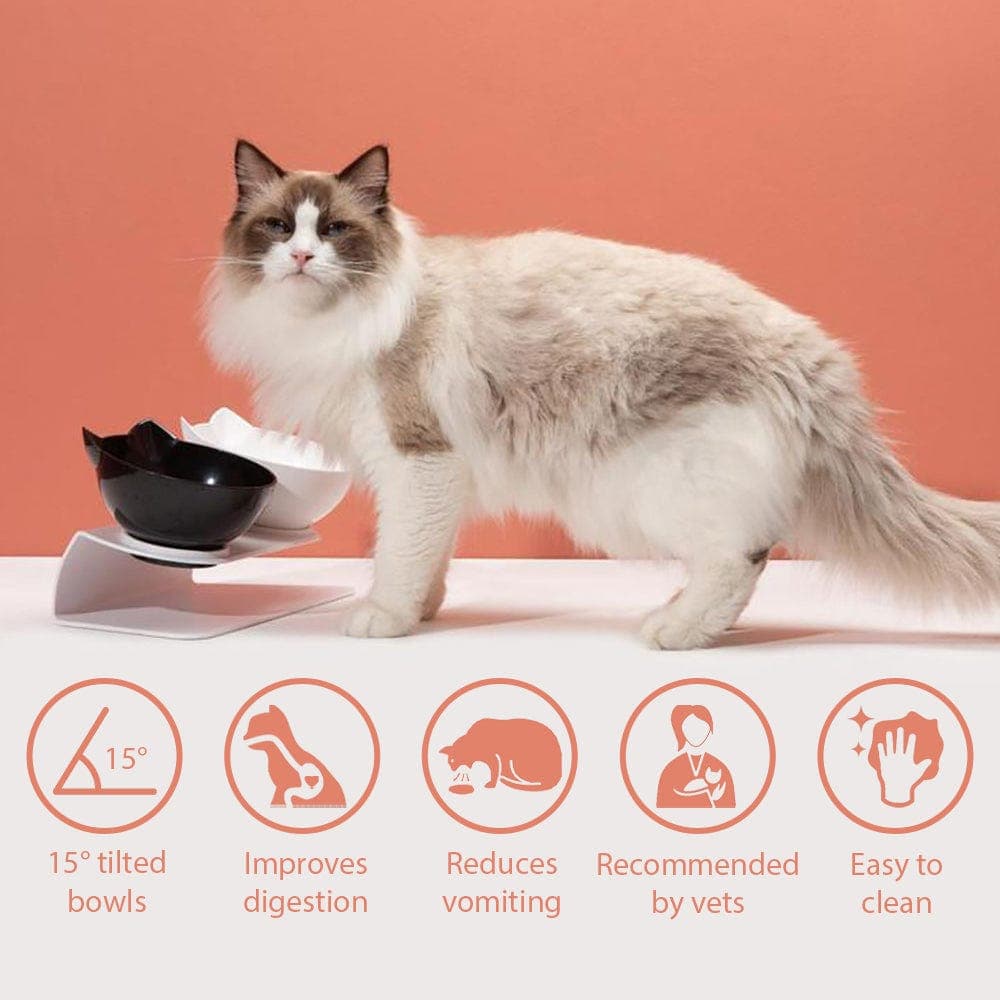 Leos paw Anti-Vomiting Orthopedic Cat Bowl