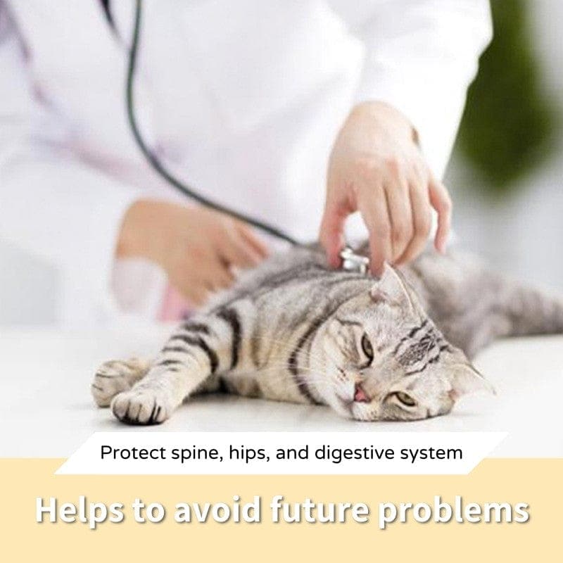 Orthopedic & Anti-Vomiting Pet Food Bowl - Pawtisfaction