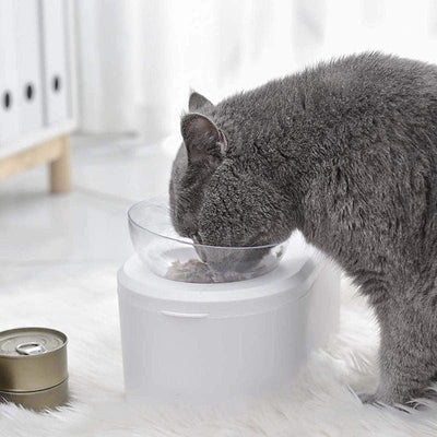 Leos paw Anti-Vomiting Orthopedic Cat Bowl with Storage